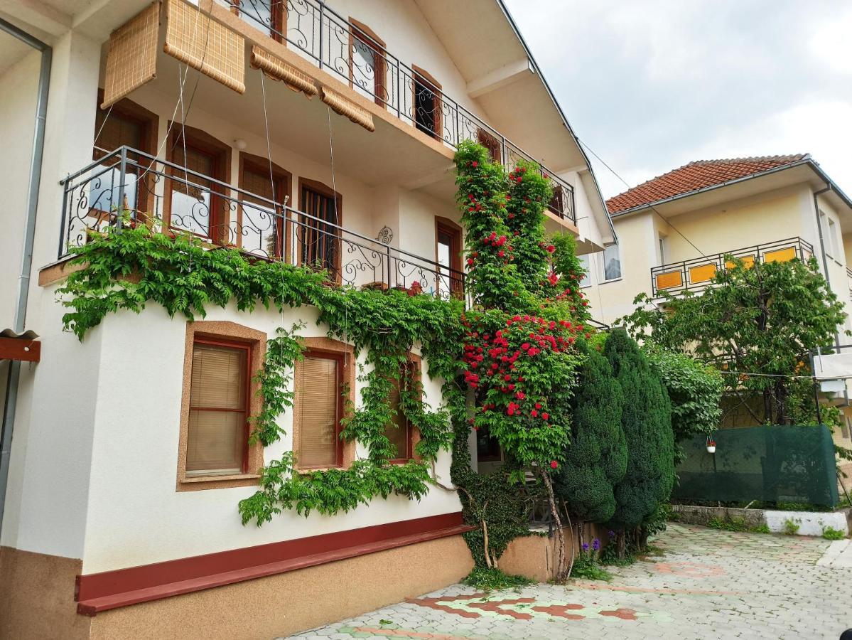 Vila Biljana Ohrid Apartamento Exterior foto